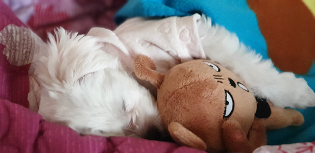 20190106_103705.jpg