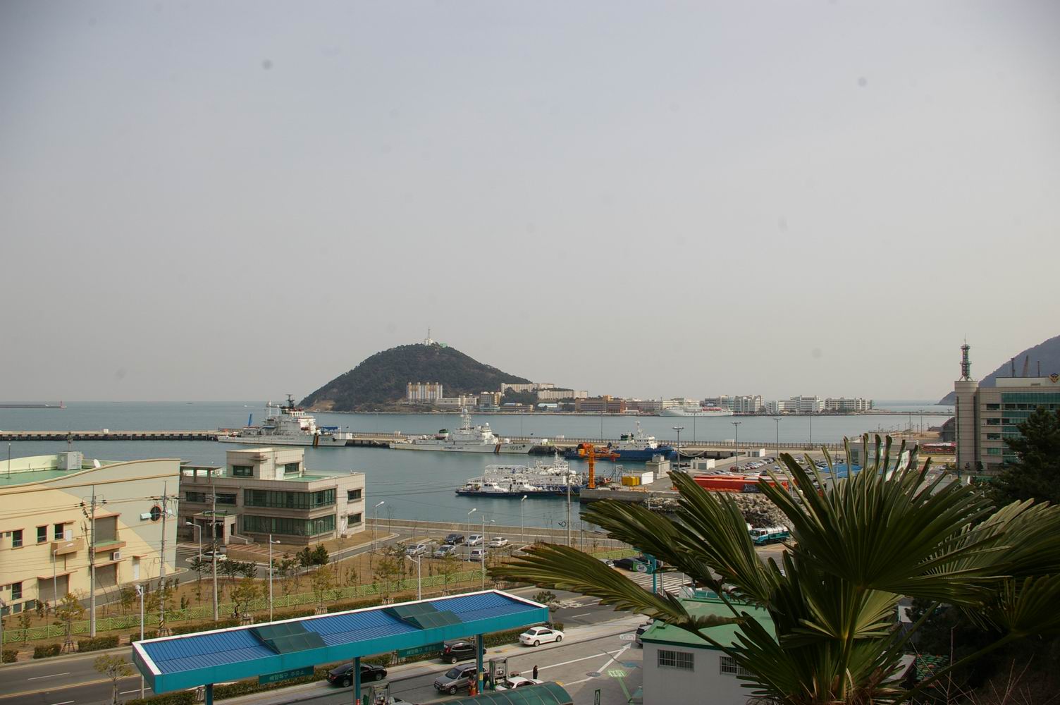 IMGP4895.JPG