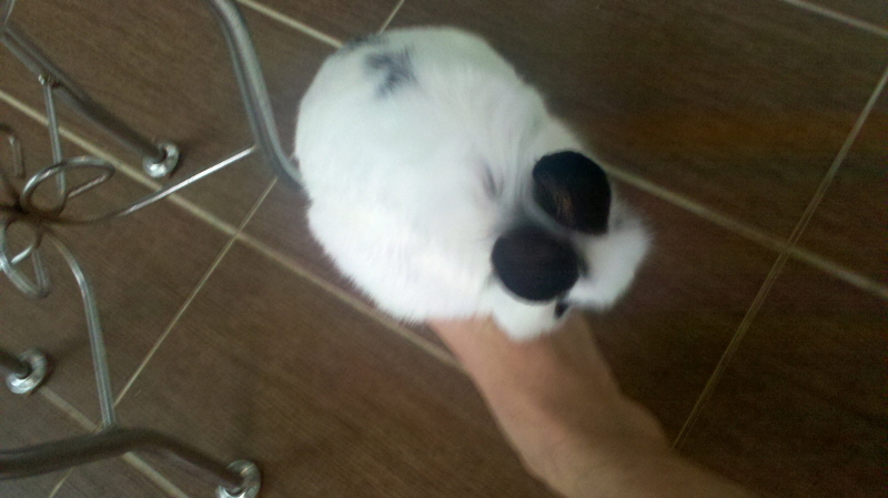 크기변환_2011-06-29_16-48-29_154.jpg