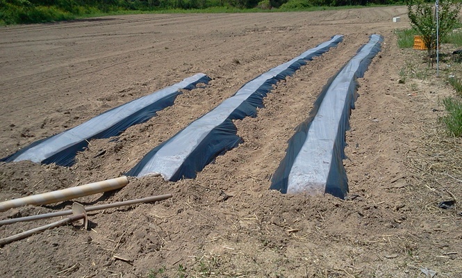 2011-05-14 13.41.54.jpg