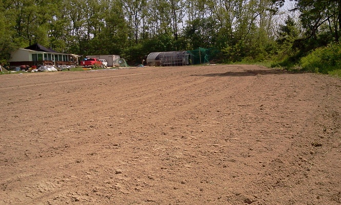 2011-05-14 13.40.30.jpg