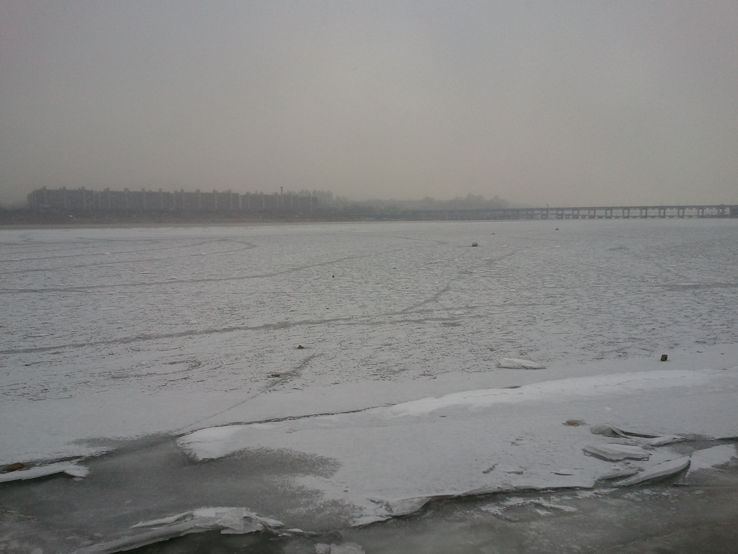 2011-01-23 12.24.16.jpg