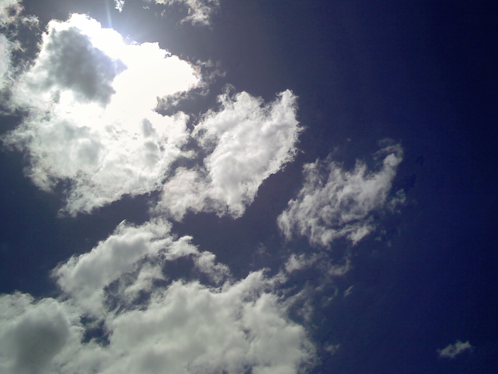 20100526-022043.jpg