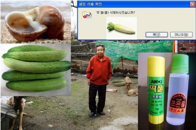 m.jpg