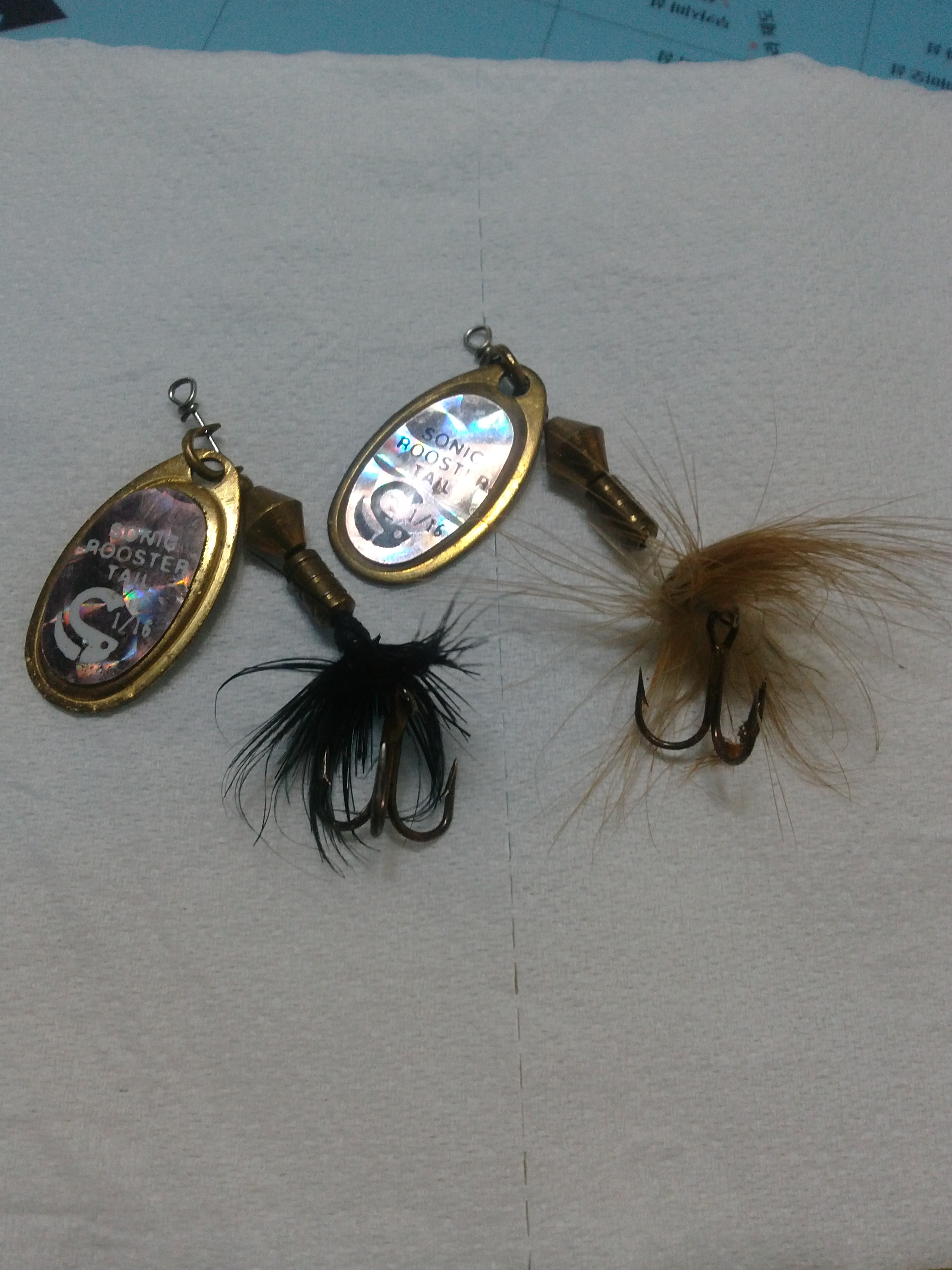 CAM00349.jpg