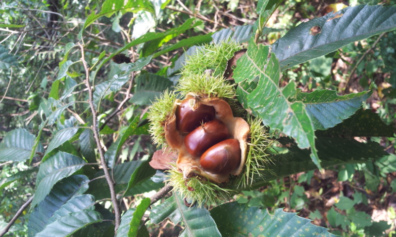 20130915_103827.jpg