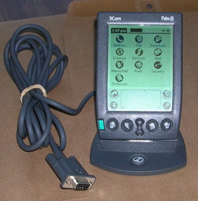 palm3.jpg