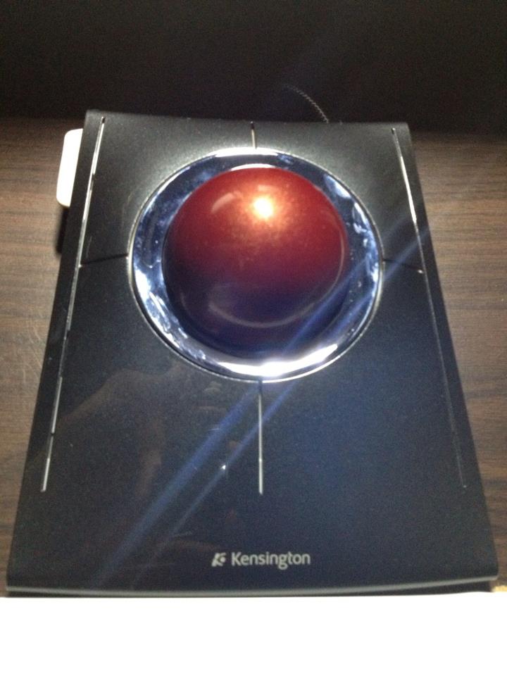 419976_500372343353397_954342361_n.jpg