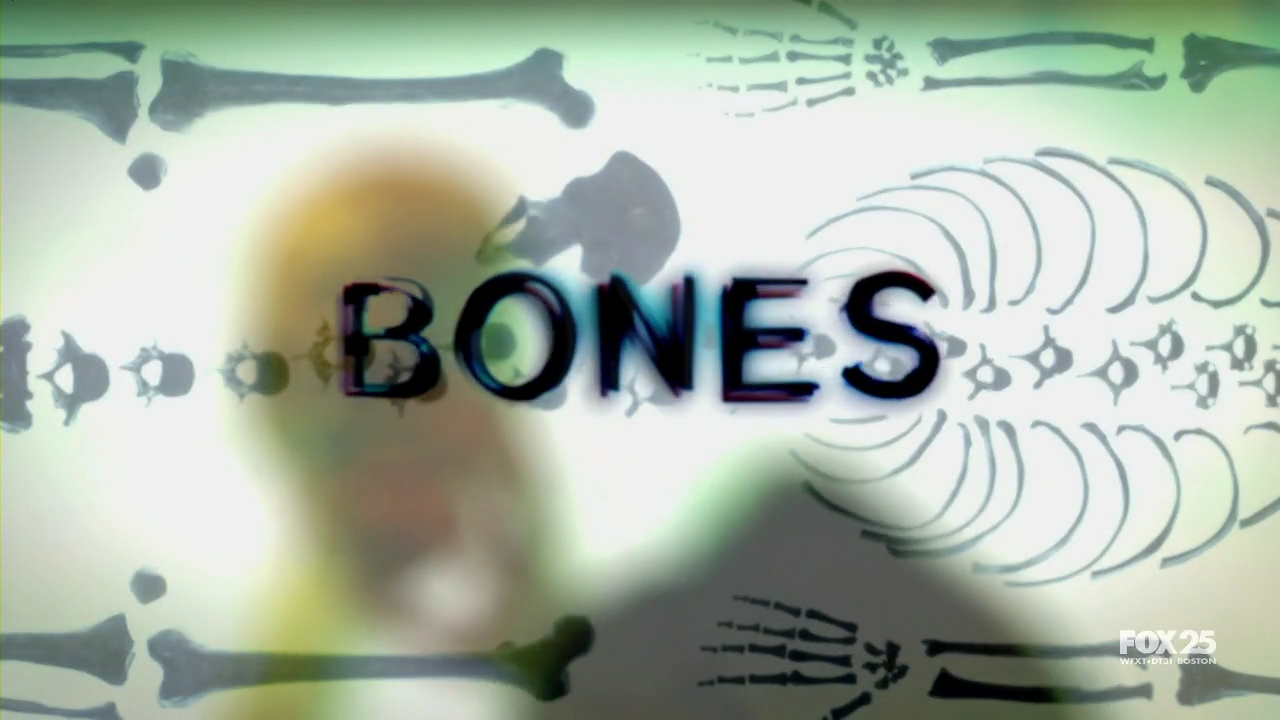 bones.502.the.bond.in.the.boot-sitv.mkv_000385802.jpg
