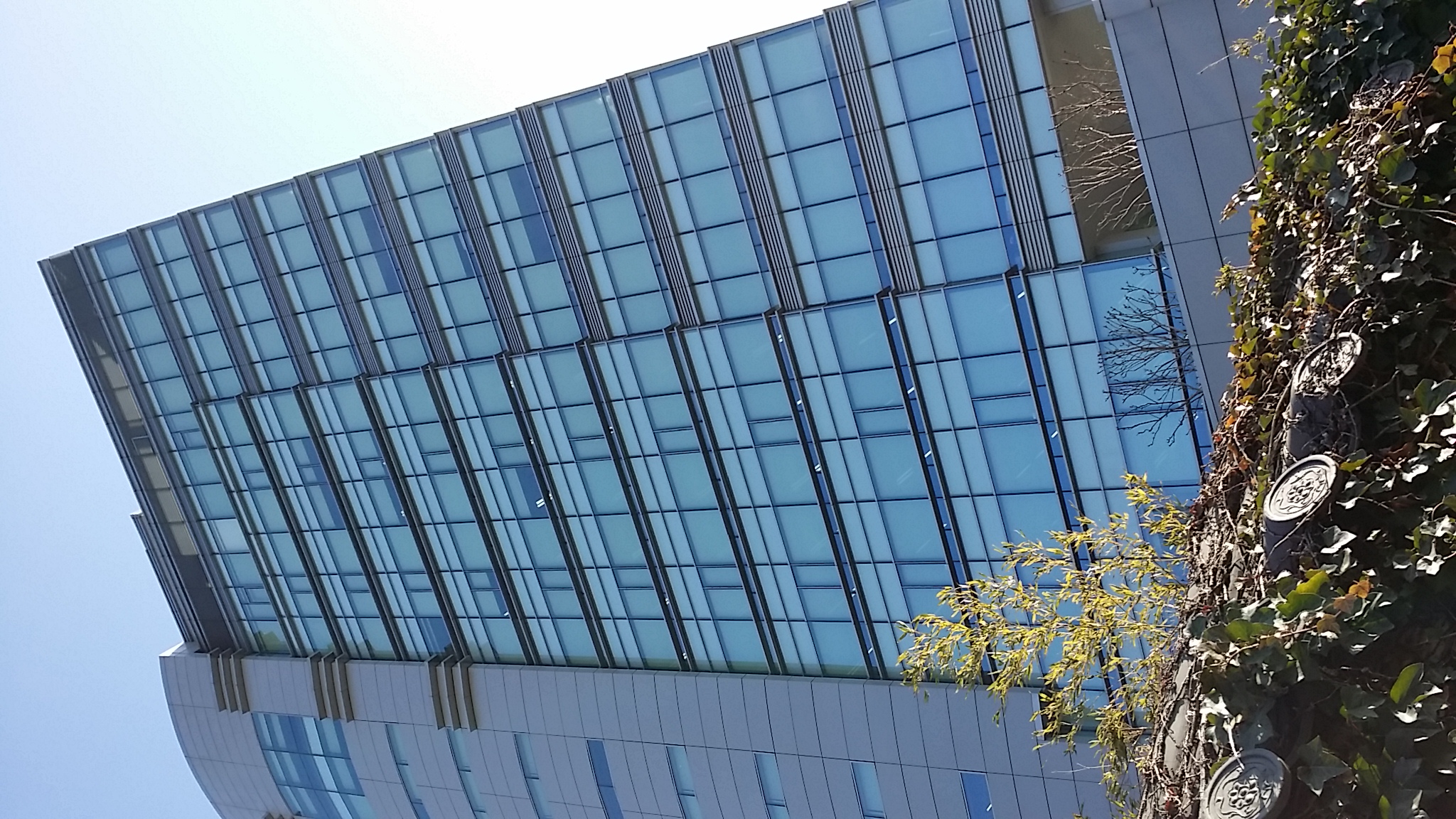 20140123_144755.jpg
