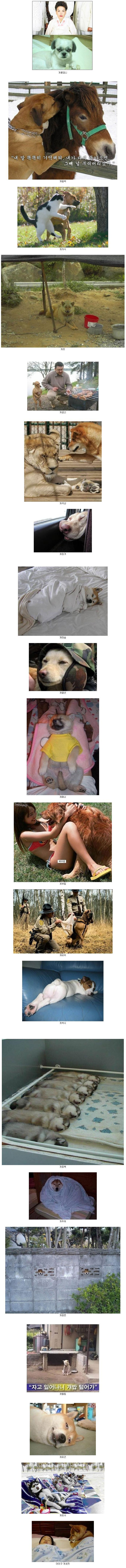 개시리즈1.jpg