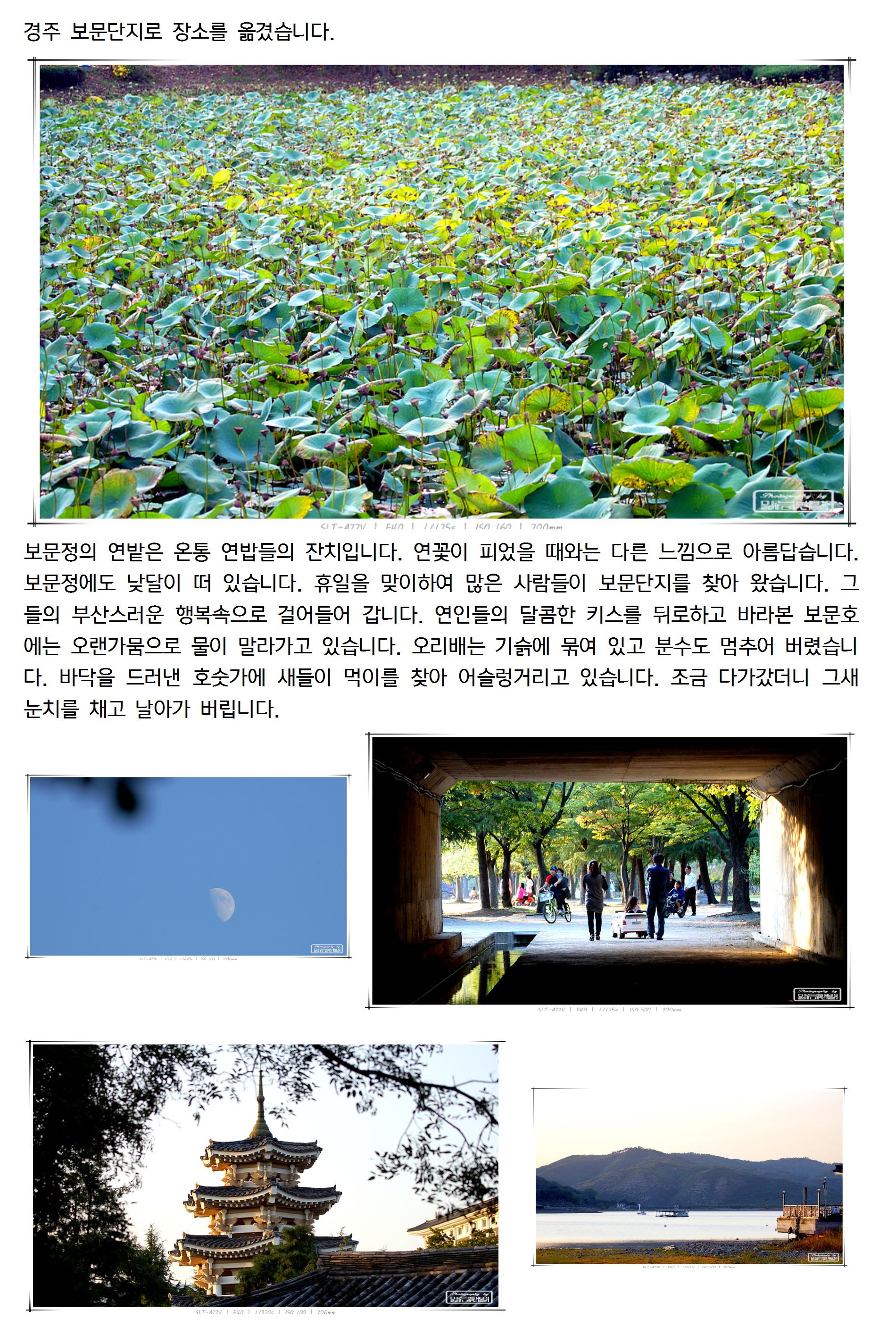20131013004_cr.jpg