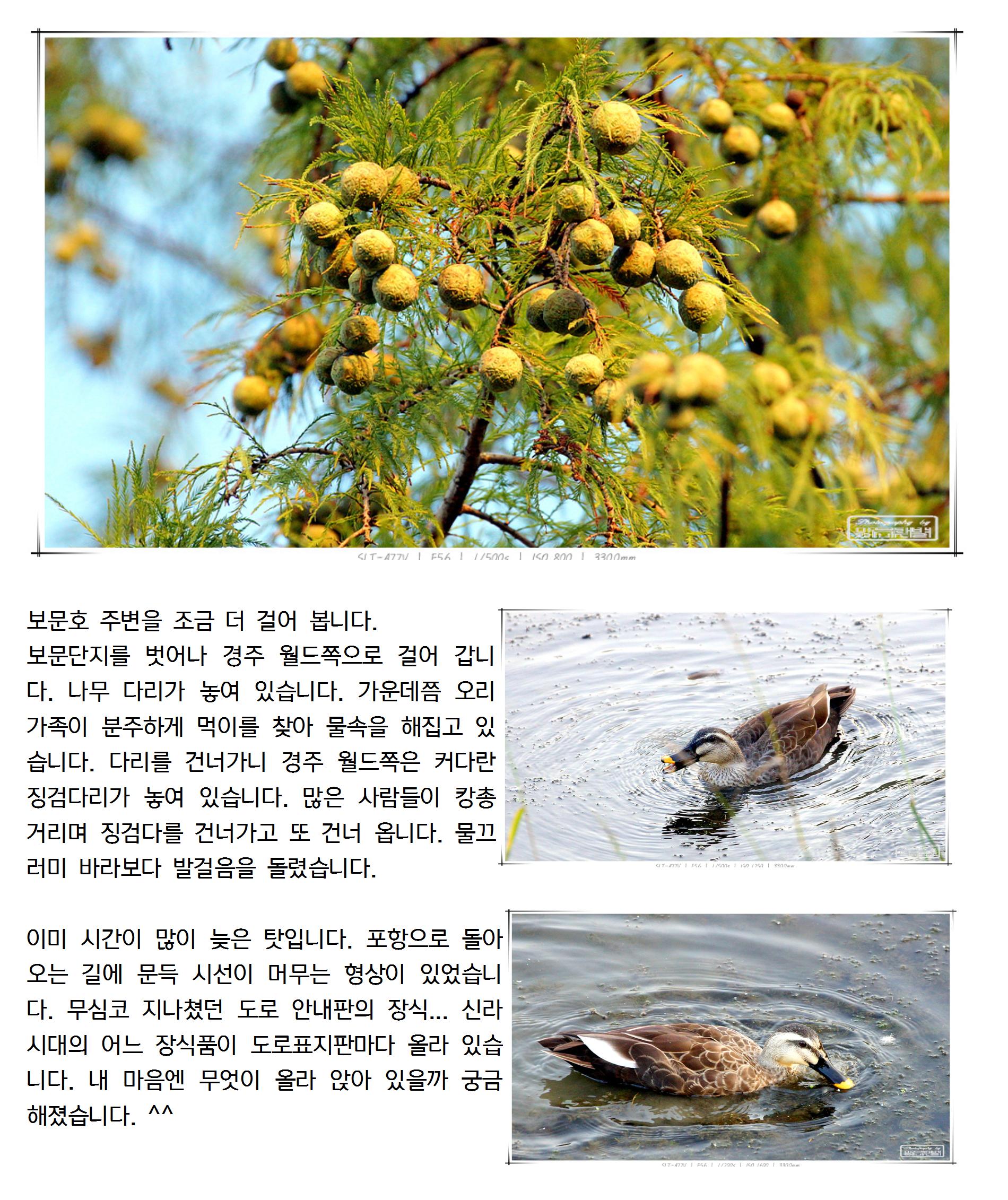 20131013007_cr.jpg