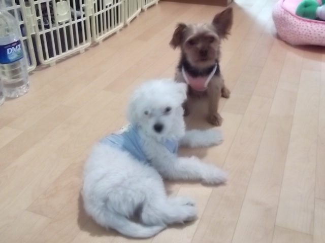 DSCF4555.JPG