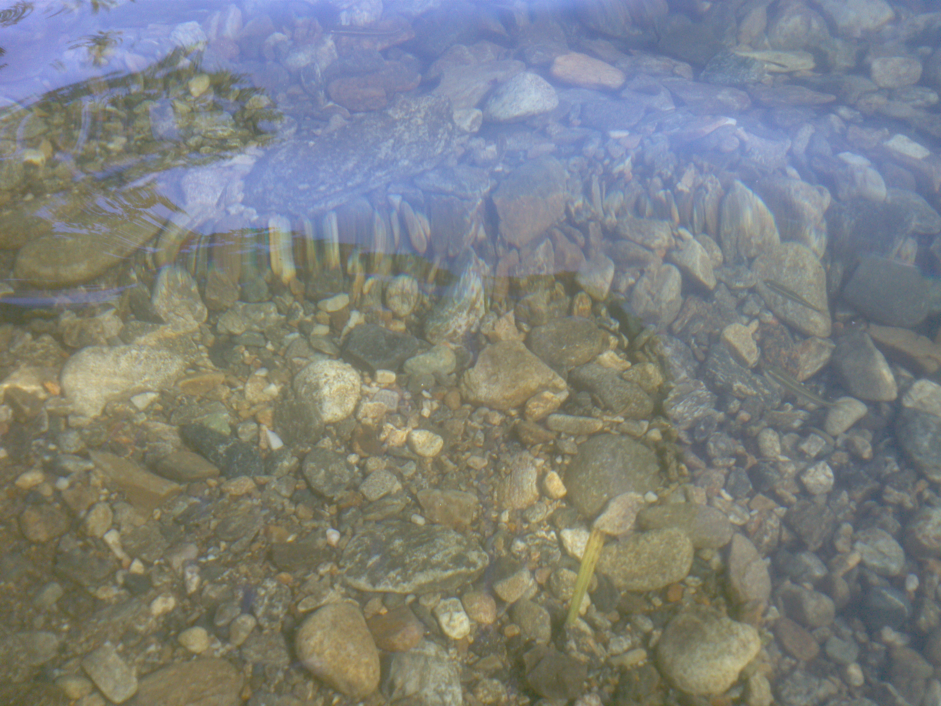 CAM00588.jpg