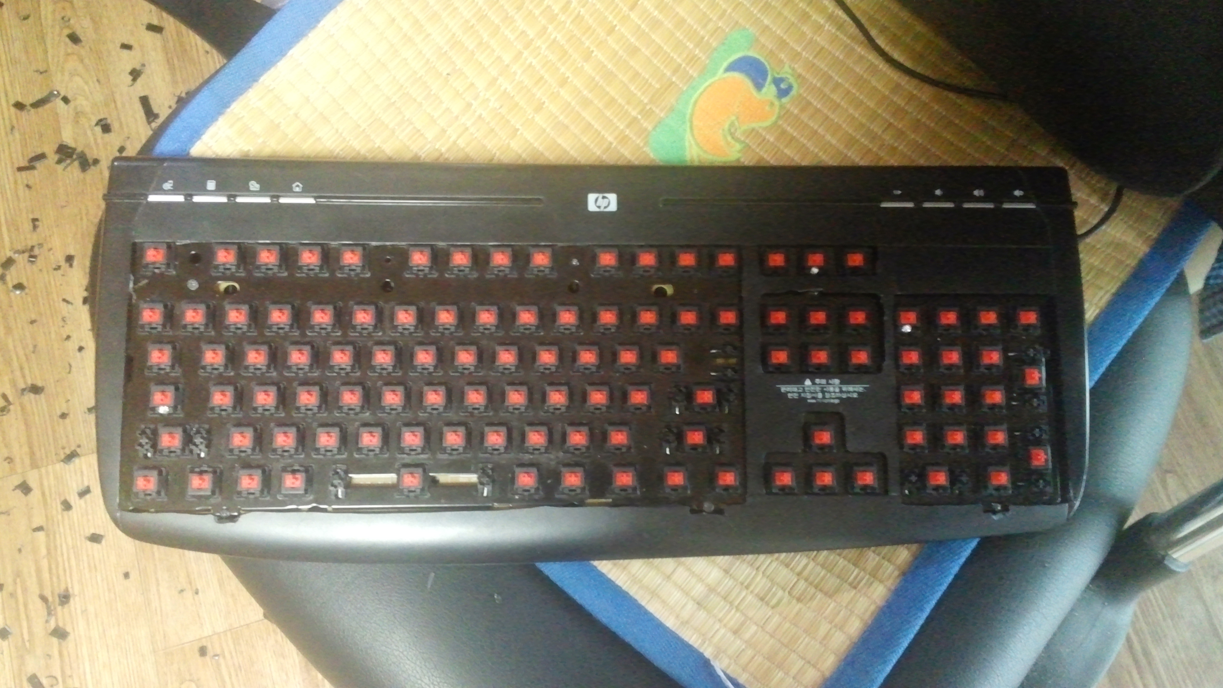 20140917_080912.jpg
