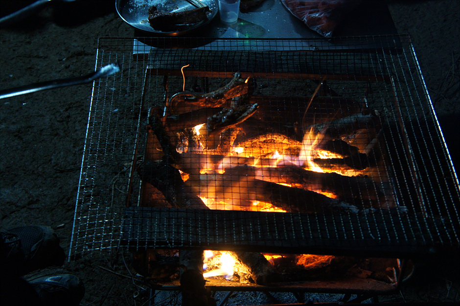 DSC02985.jpg