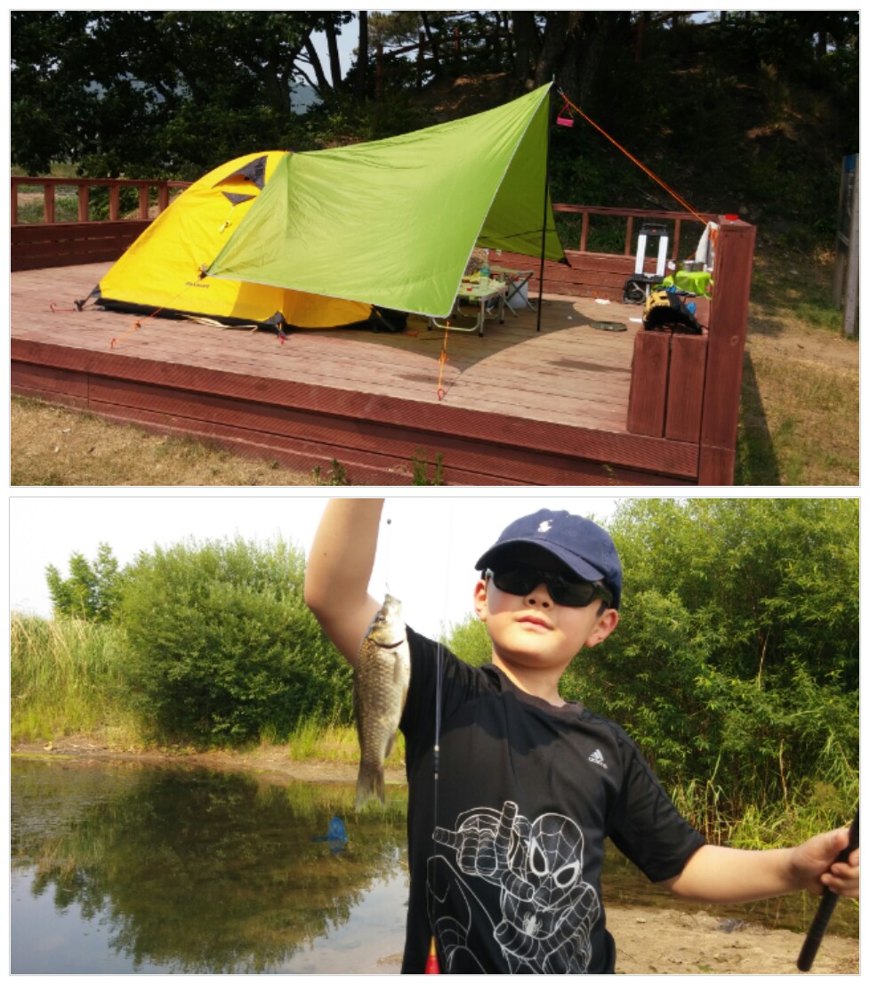 150608_201011_COLLAGE-1.jpg