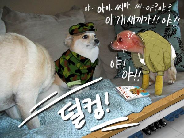 군견11.jpg