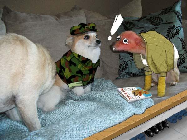 군견12.jpg