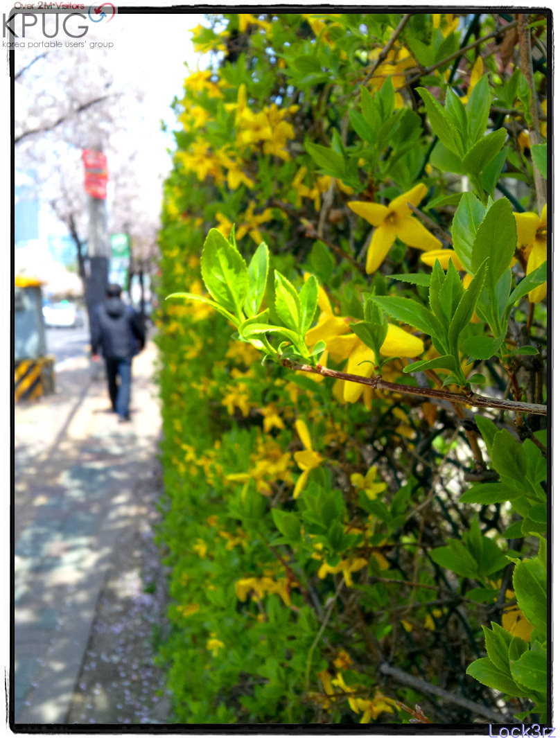 2013-04-19 11.31.27.jpg