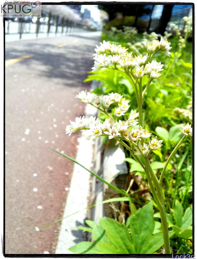 2013-04-19 11.26.37.jpg