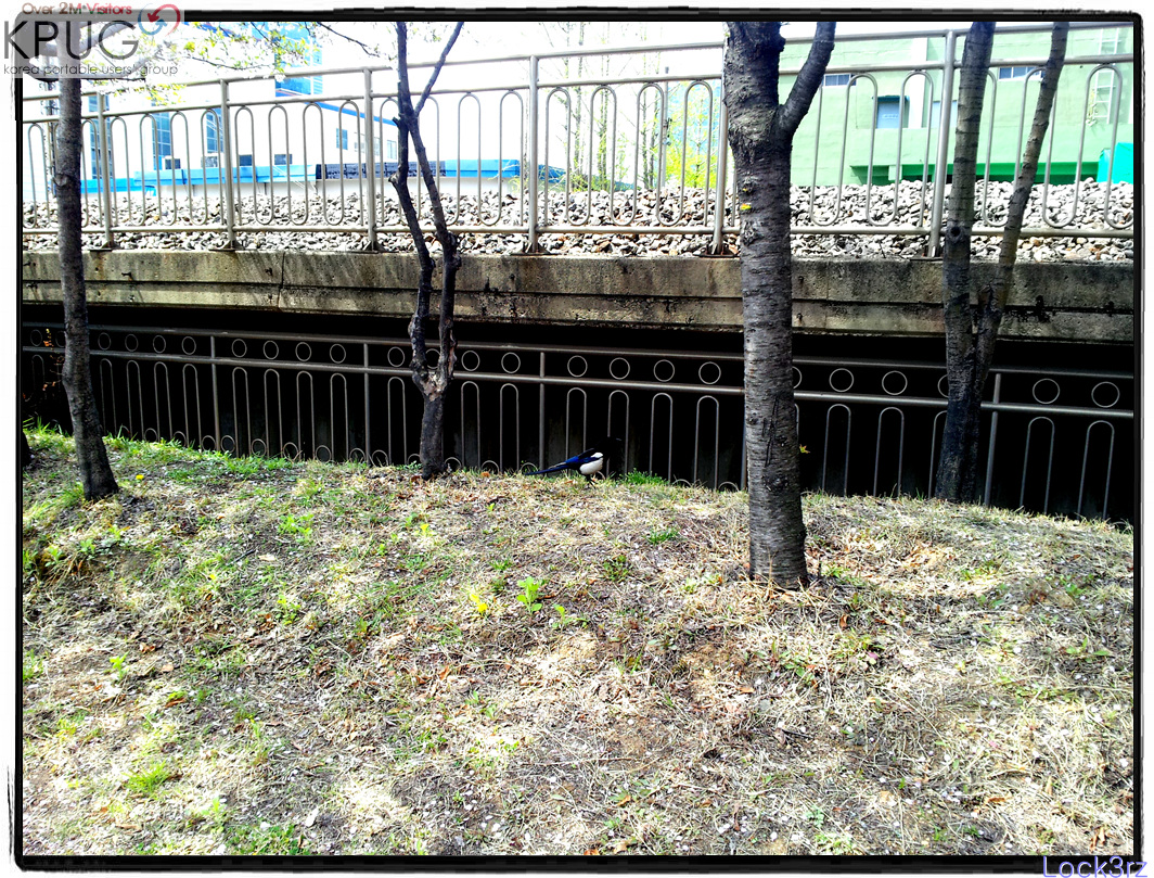 2013-04-19 11.27.27.jpg