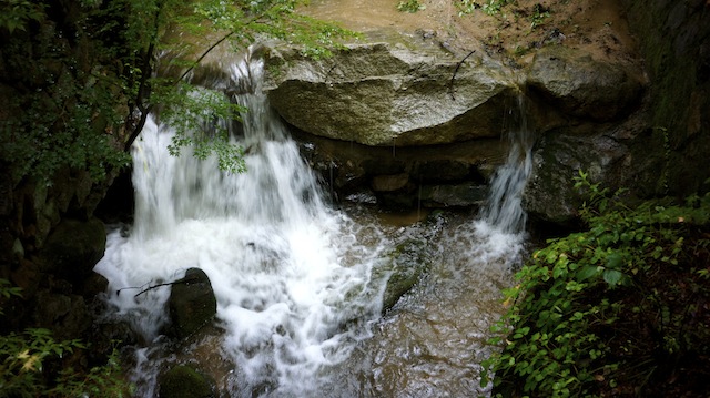 _DSC3757.JPG