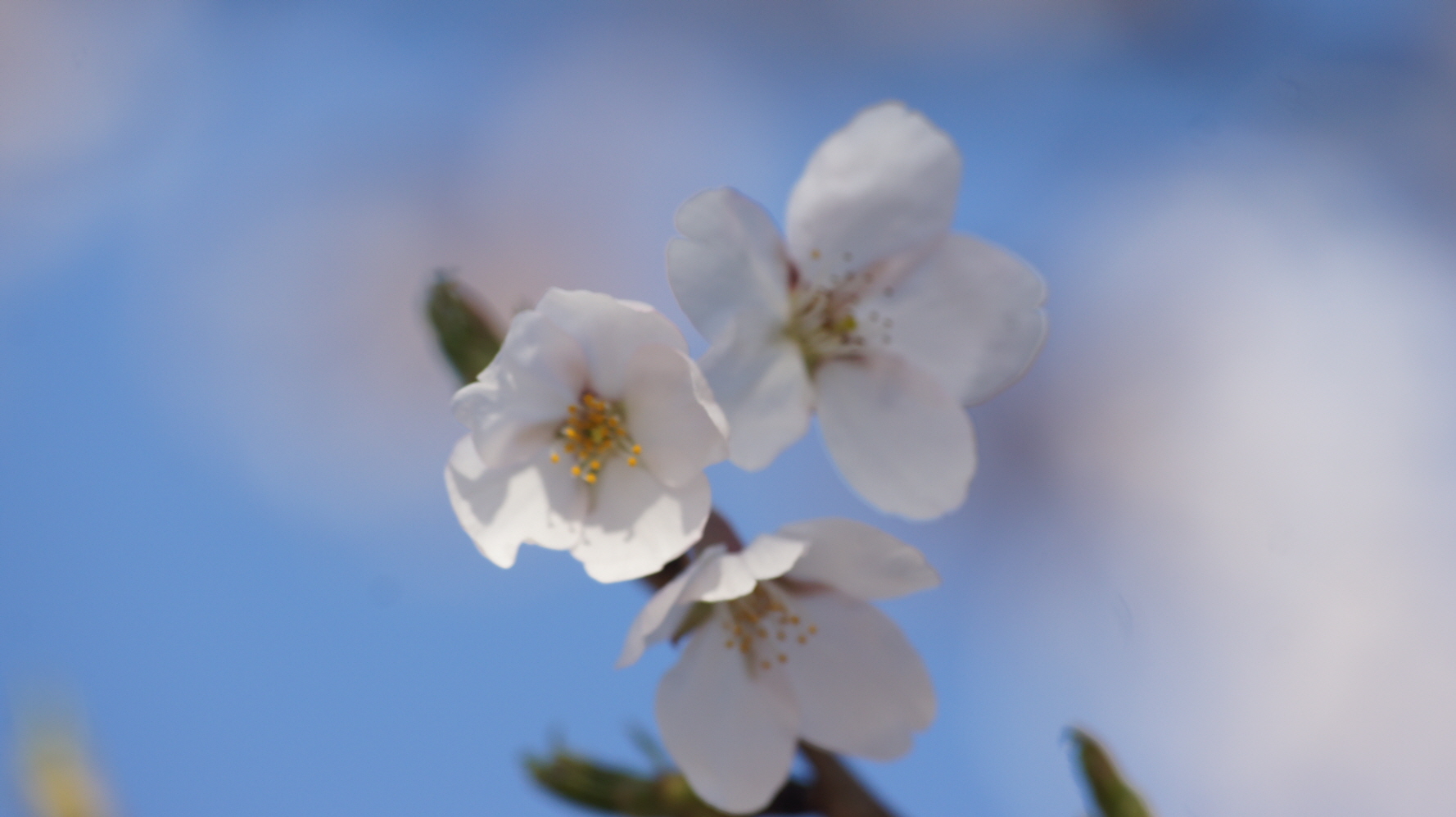 DSC09711.JPG