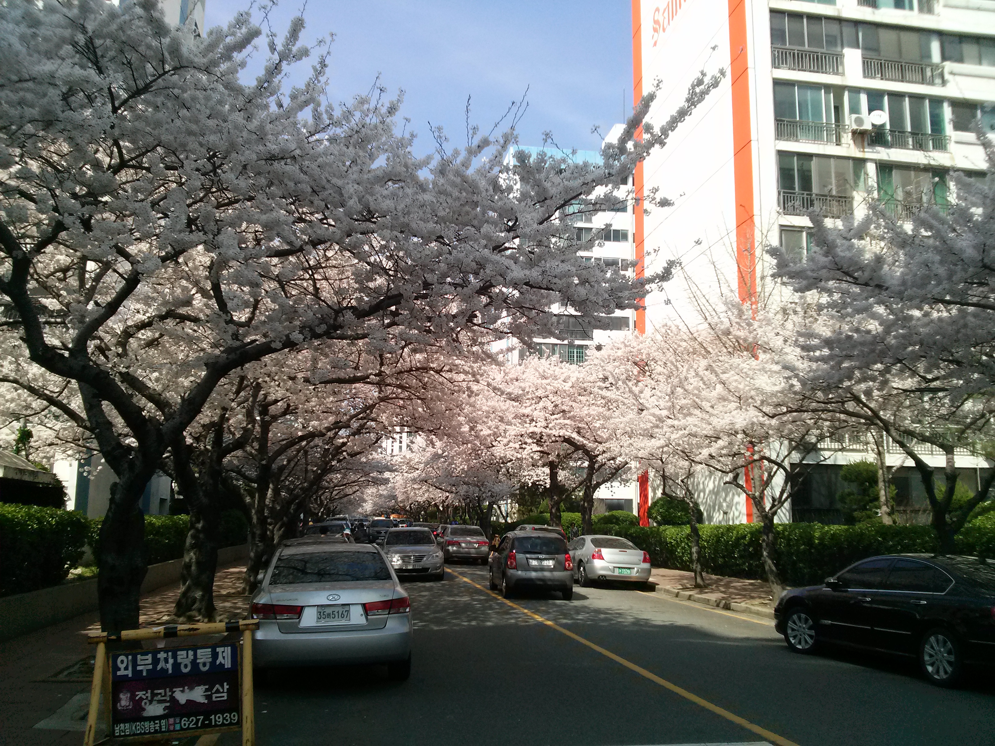 CAM01218.jpg