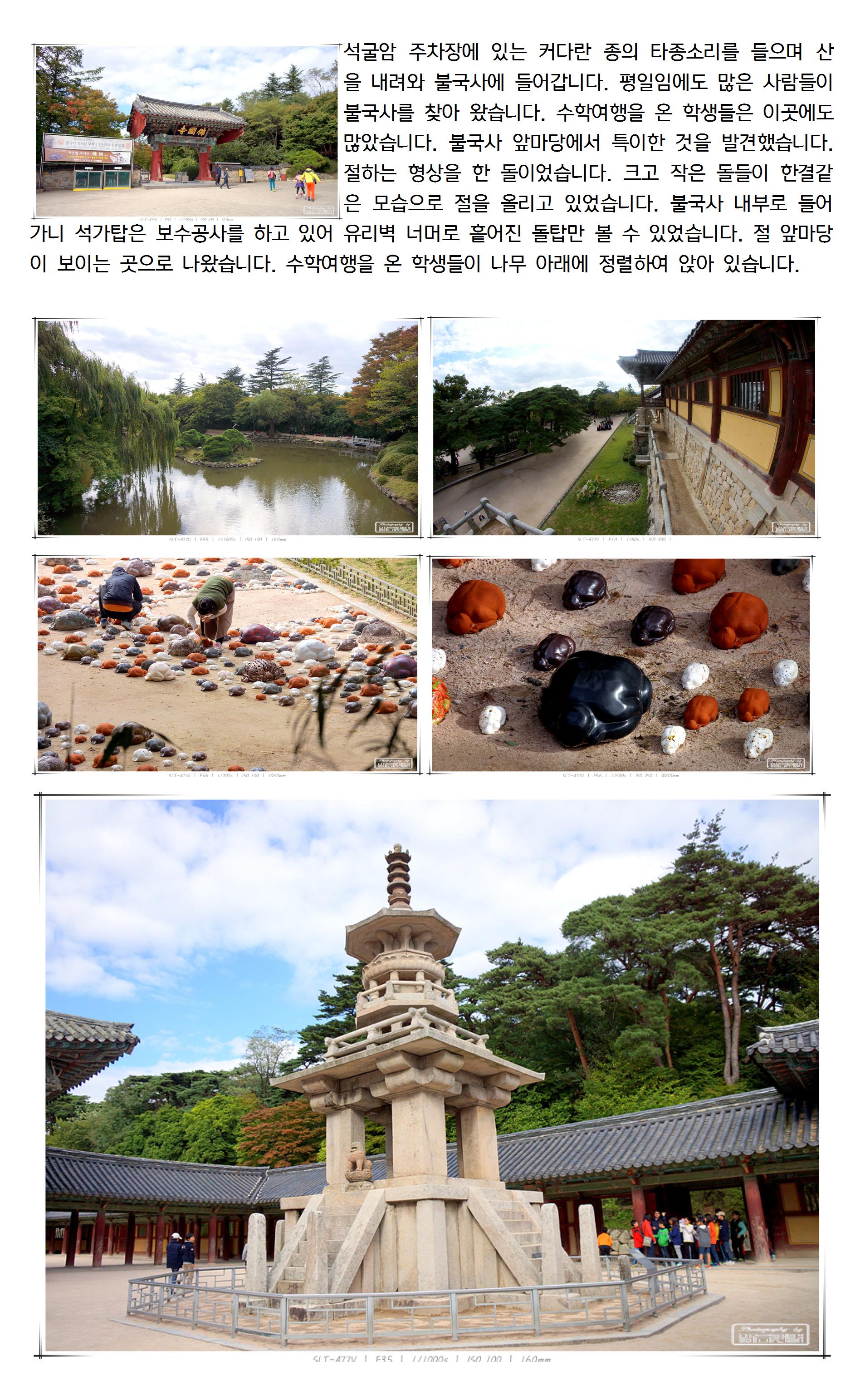 20131016경주007_cr.jpg