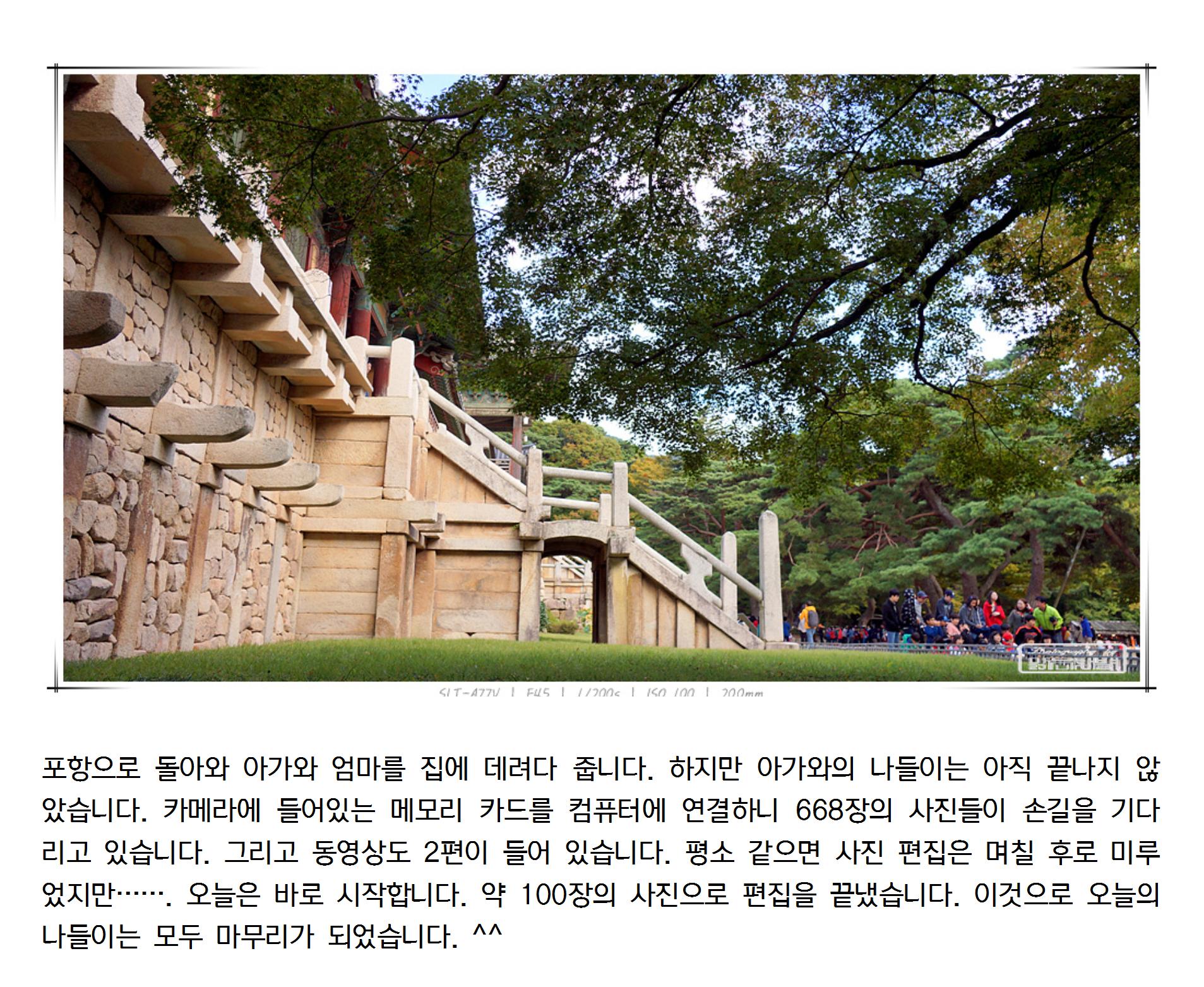 20131016경주010_cr.jpg