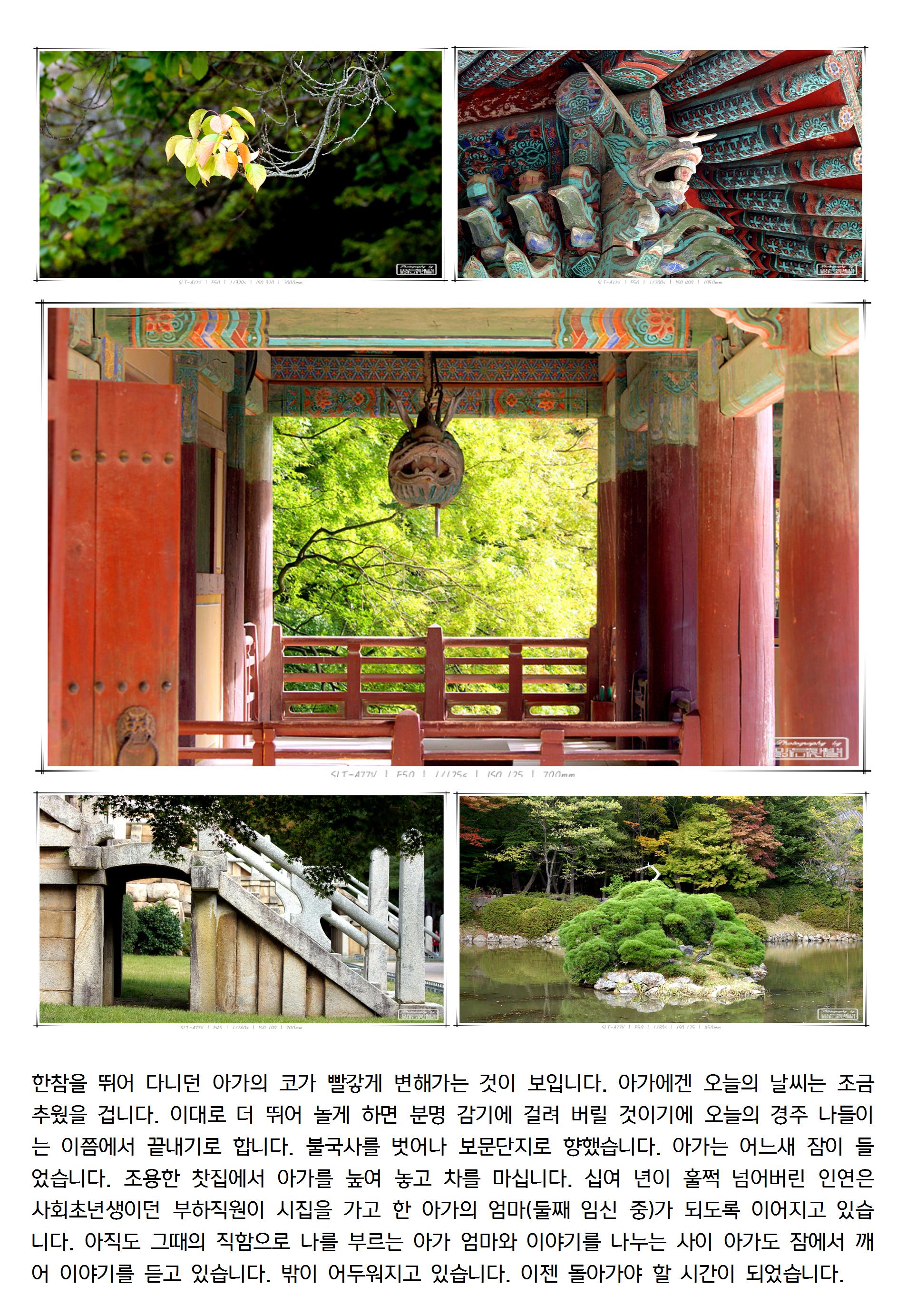 20131016경주009_cr.jpg