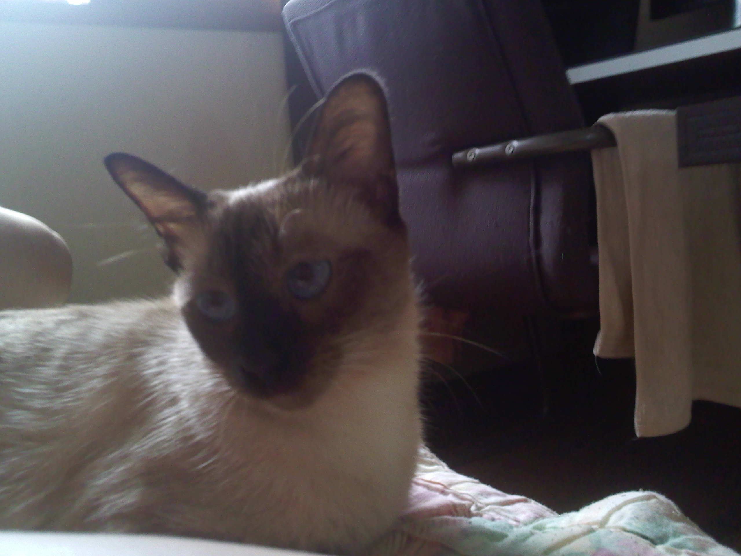 IMG20100818_002.jpg