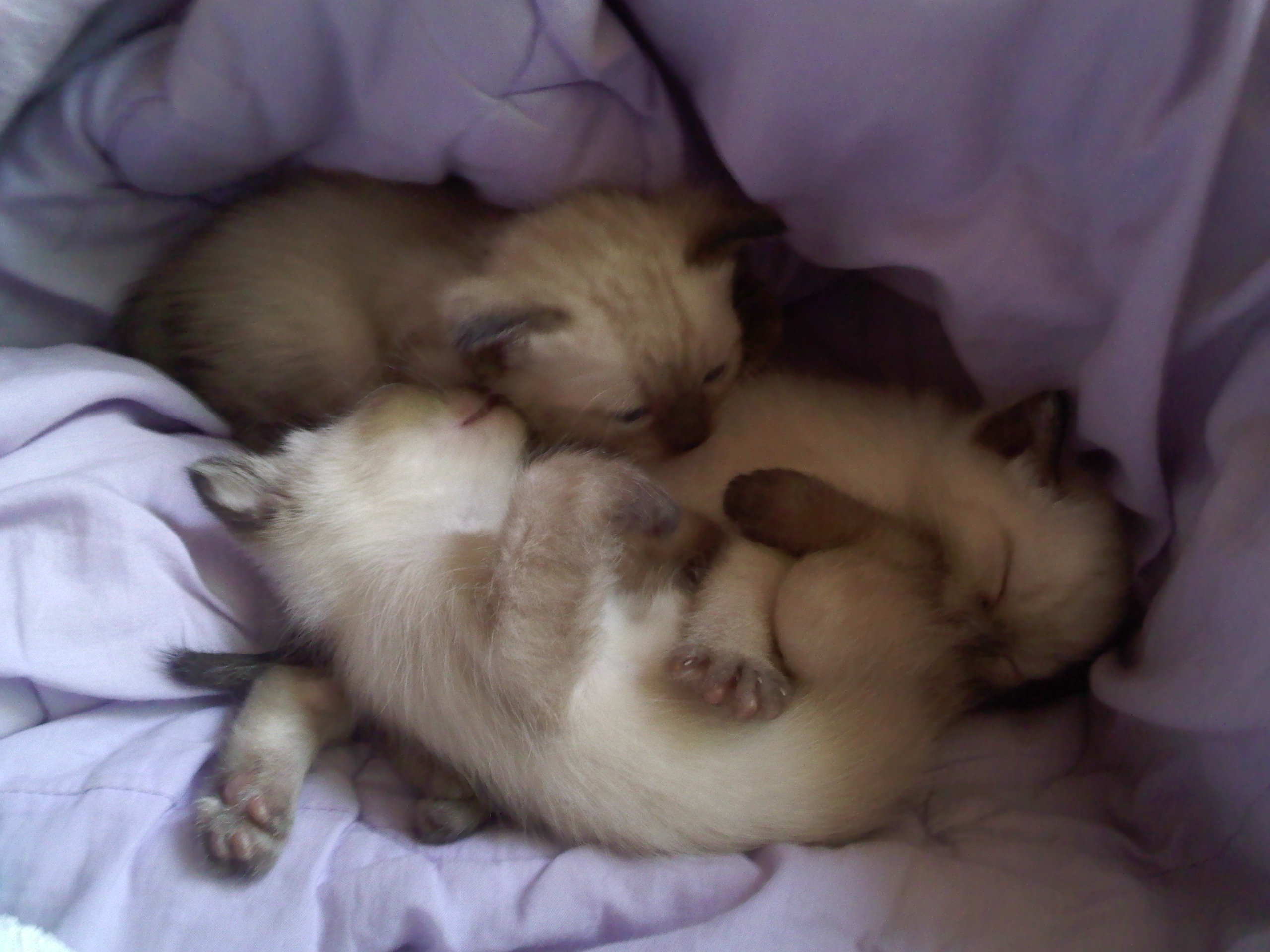 IMG20100927_010.jpg