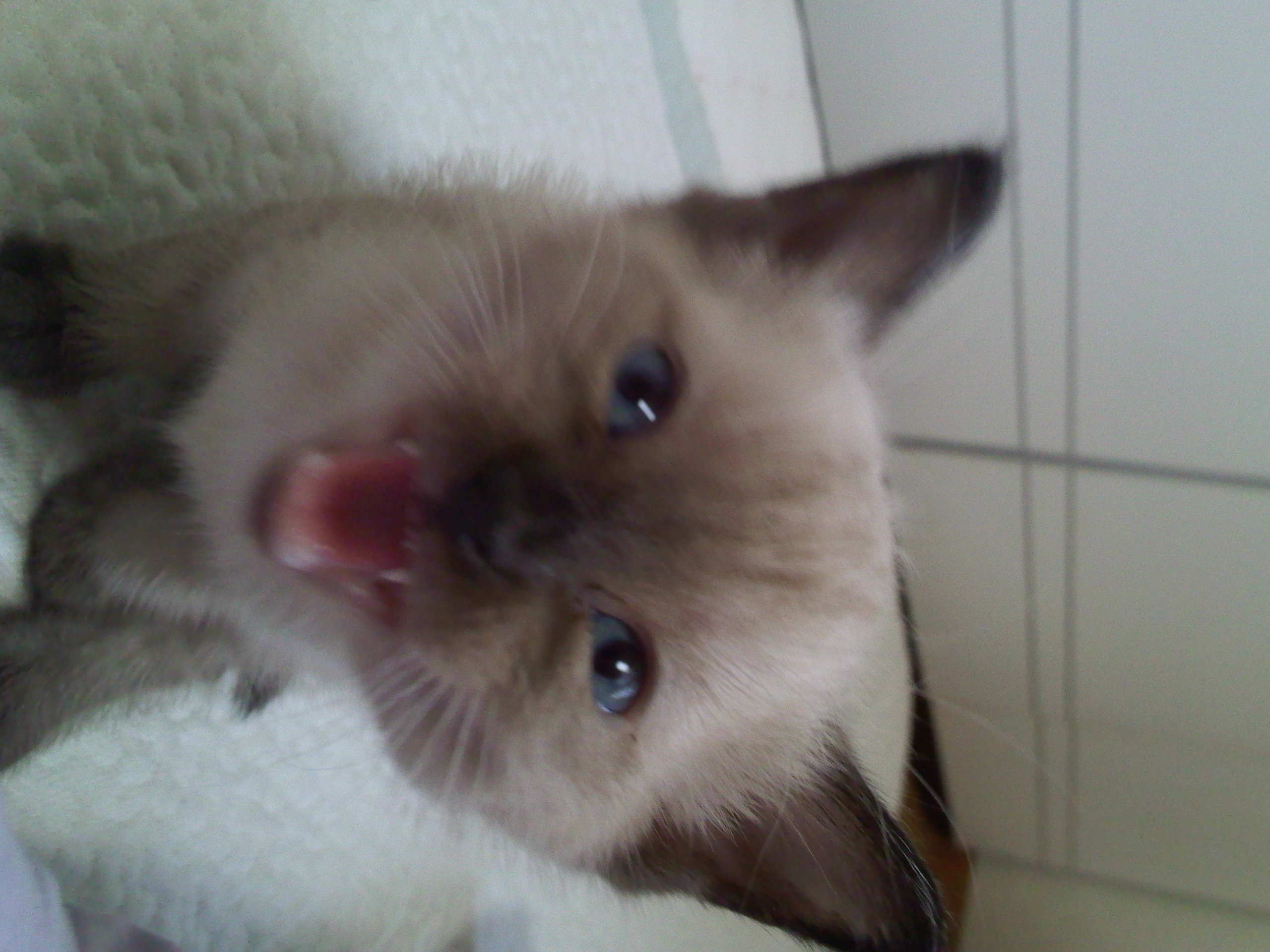 IMG20101006_005.jpg