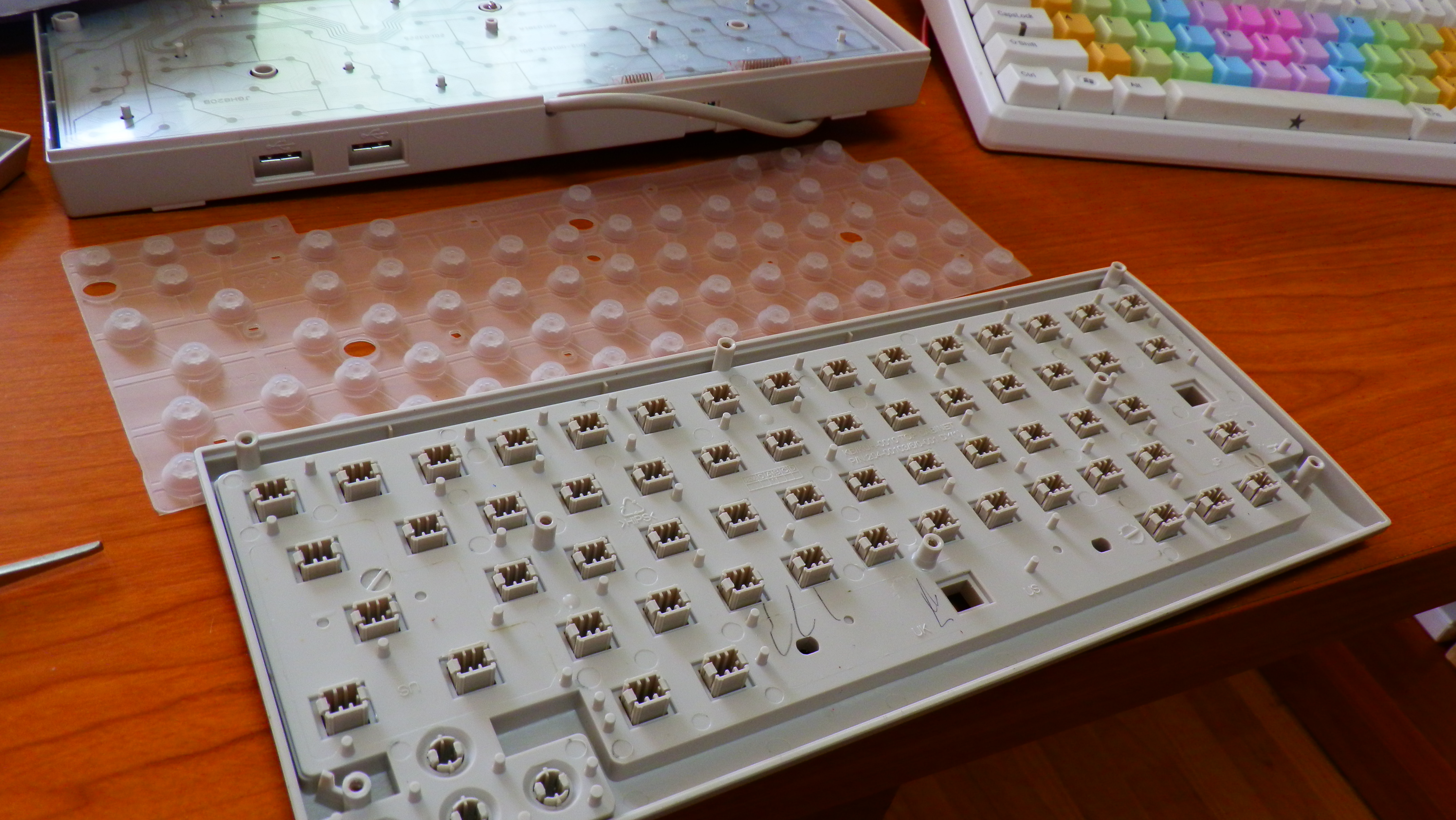 P9231425.JPG