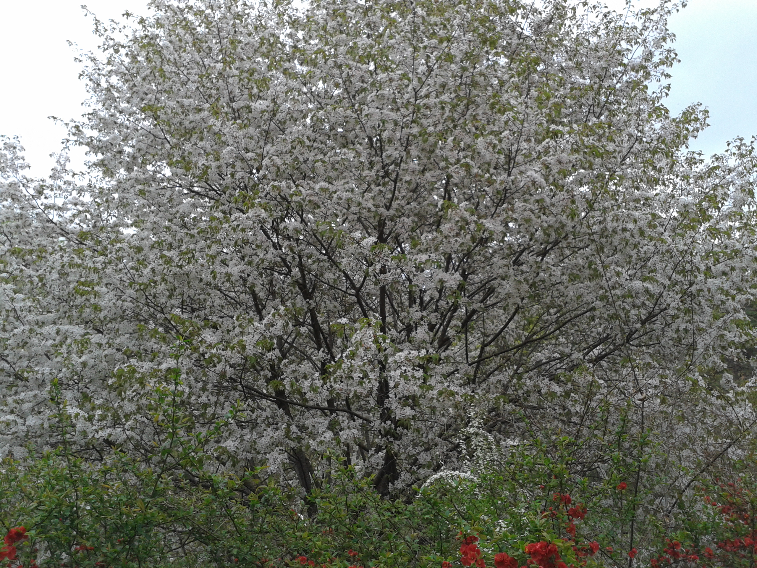 2013-04-28 14.29.51.jpg