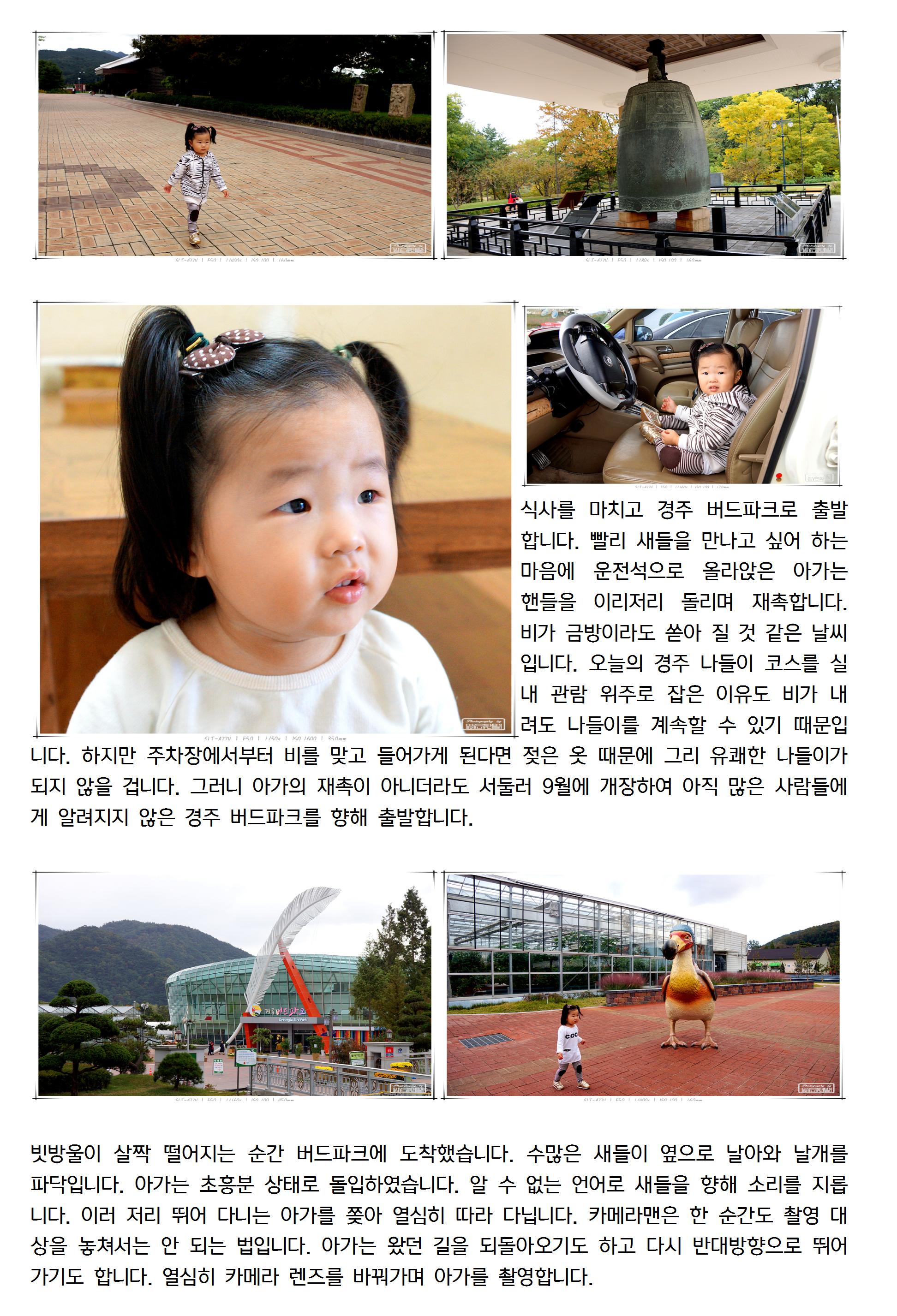 20131023선우003_cr.jpg