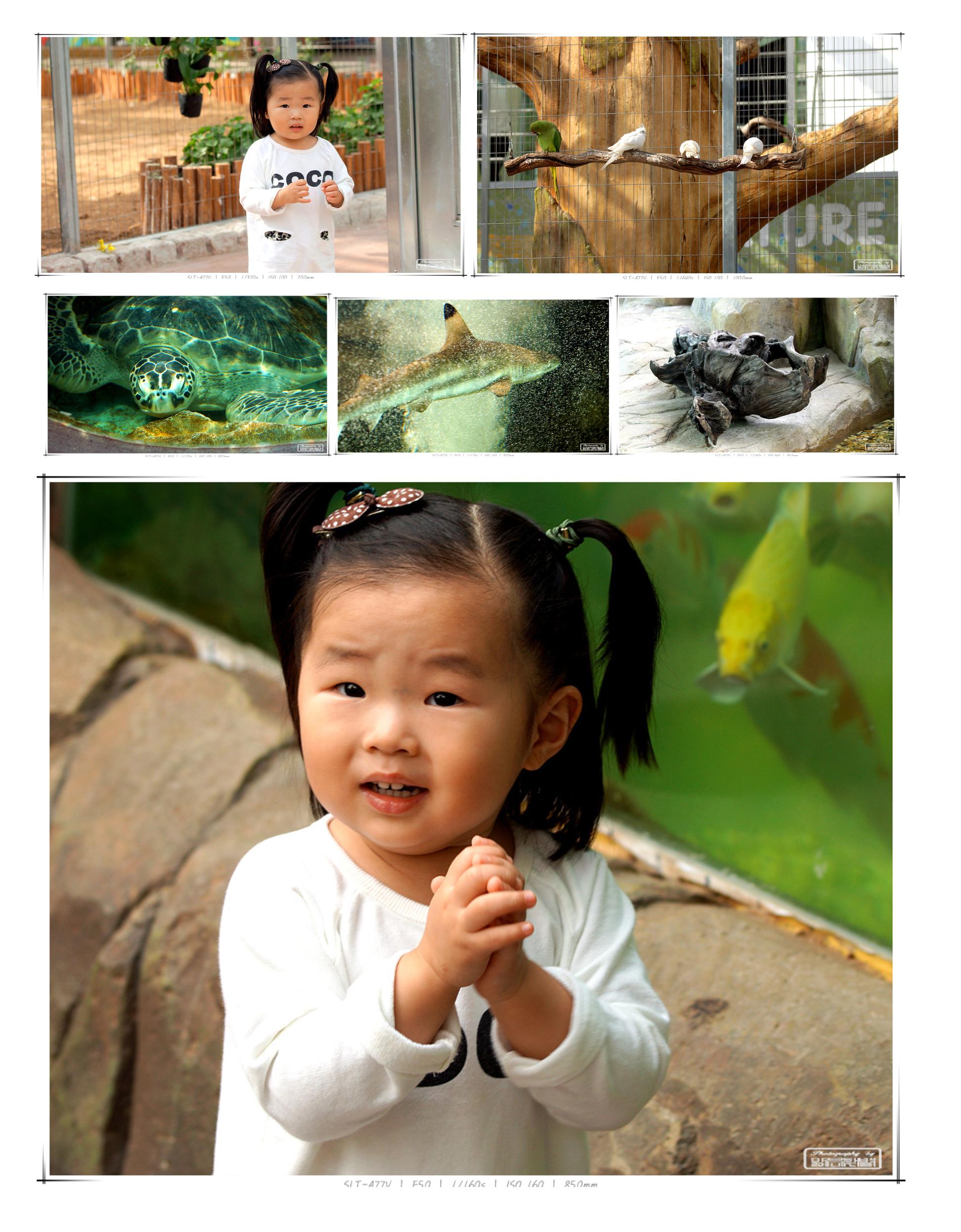 20131023선우005_cr.jpg