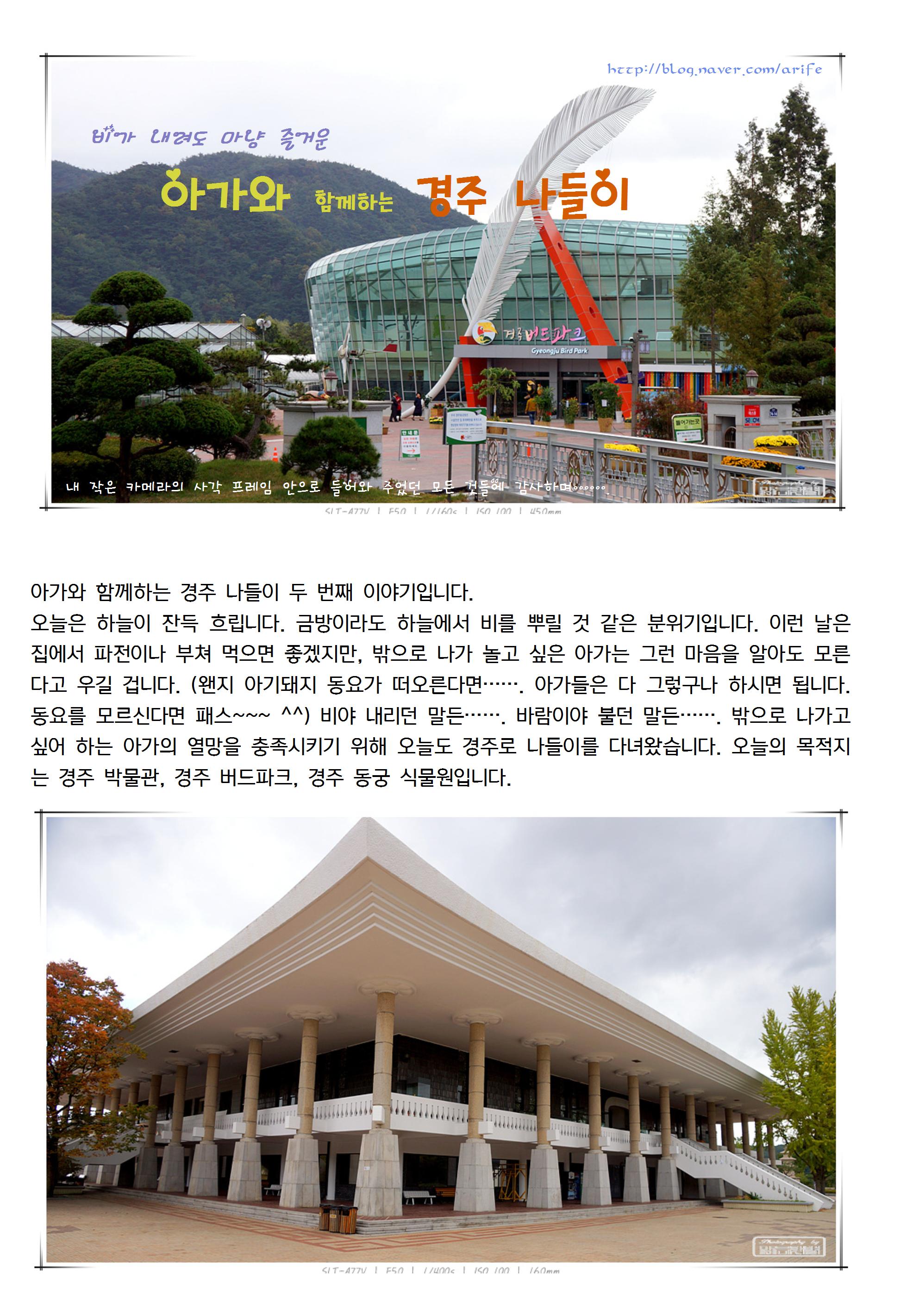 20131023선우001_cr.jpg