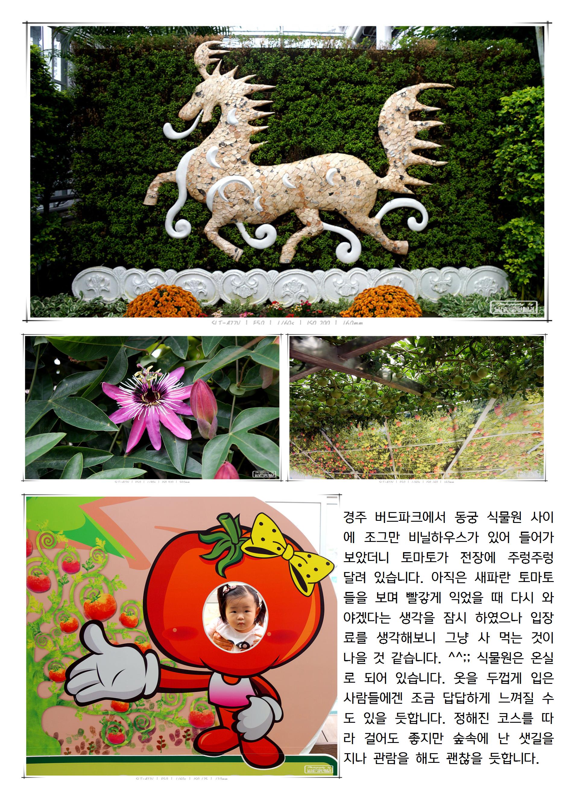 20131023선우009_cr.jpg