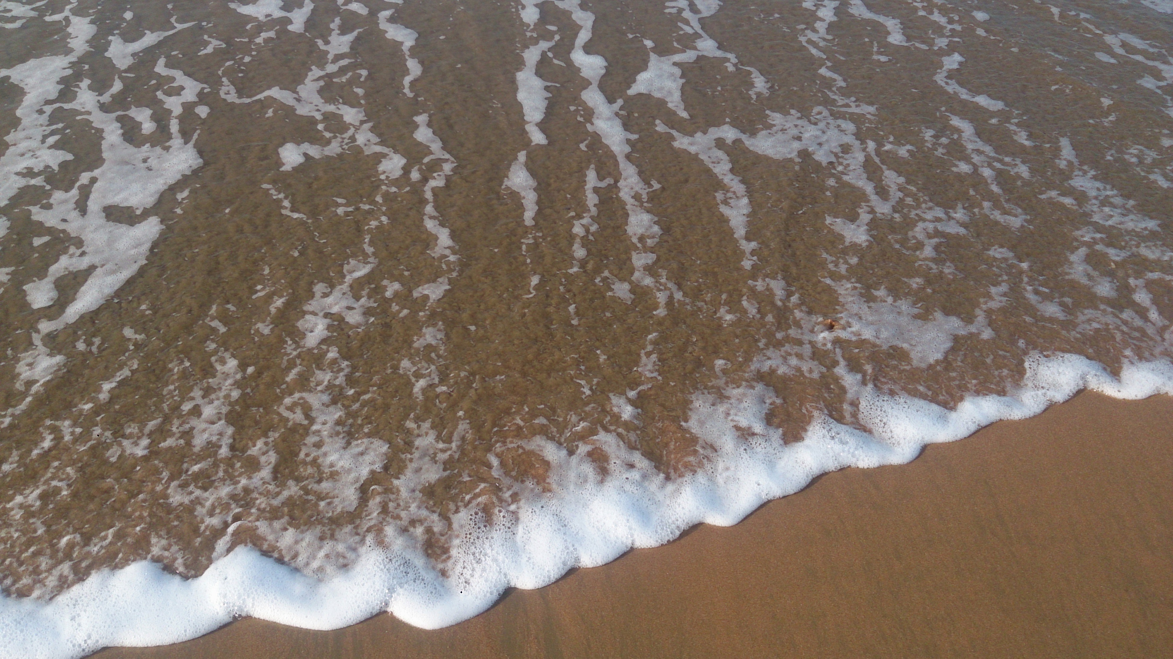 DSC_0313.JPG