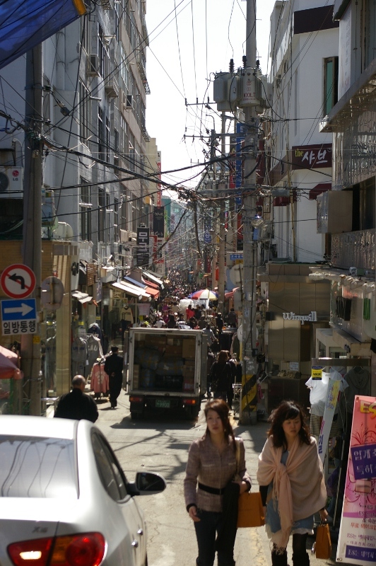 IMGP4846.JPG