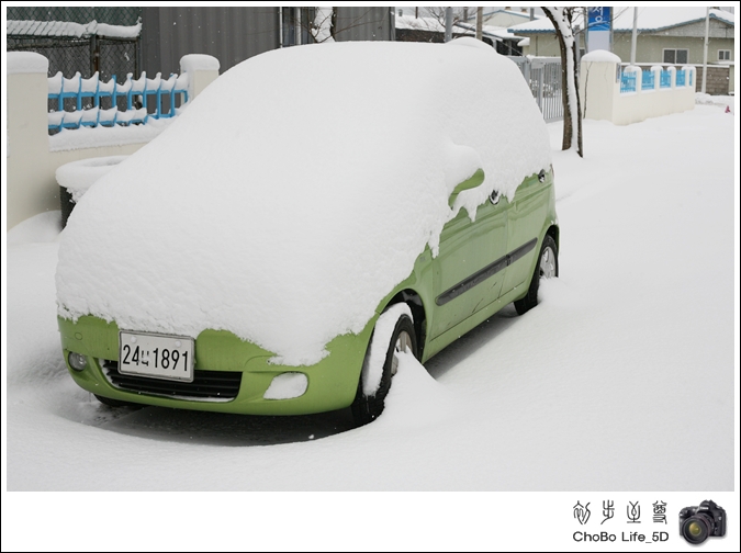 Diary20101231-013.JPG