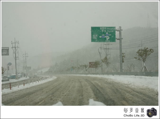 Diary20101231-017.JPG