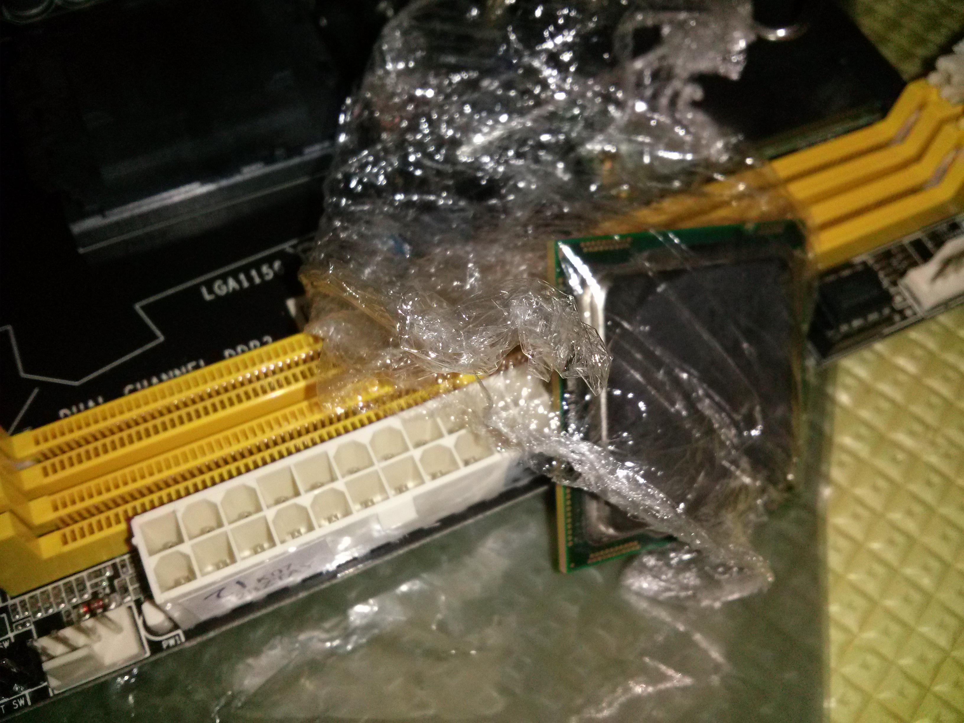 CAM00559.jpg