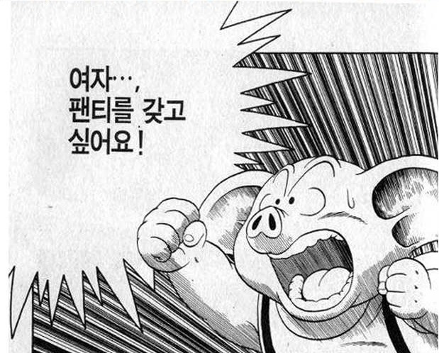 여자팬티.jpg
