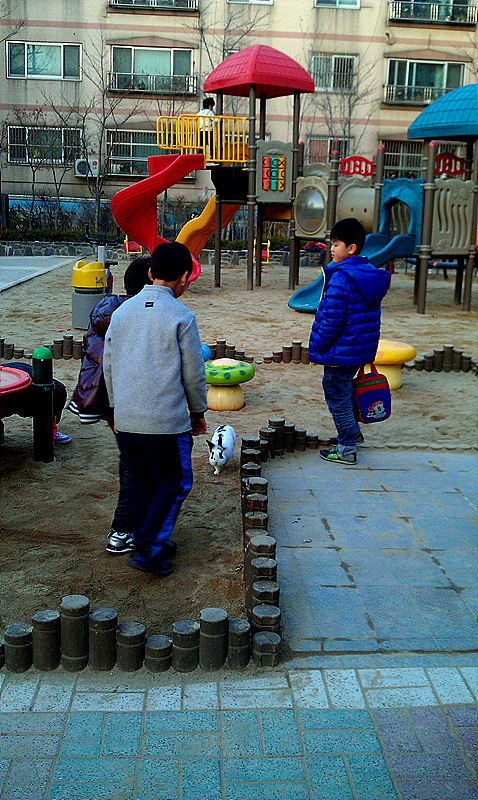IMAG0021.jpg