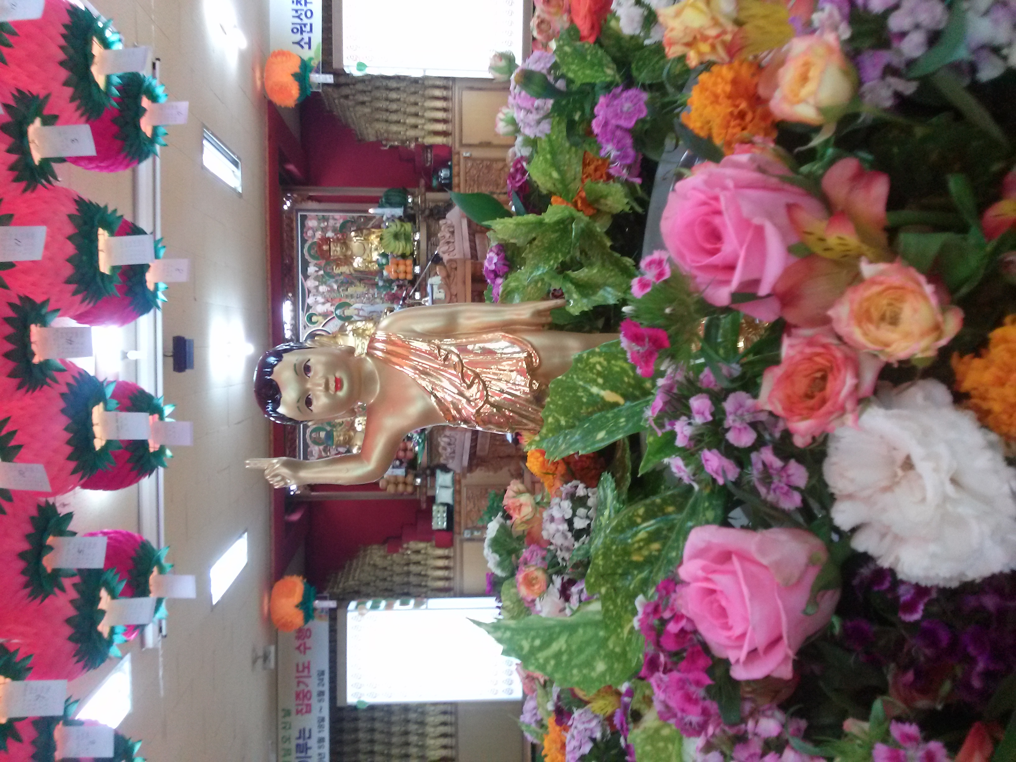 20150525_100633.jpg